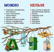 Покормите птиц зимой! Покормите птиц зимой!.