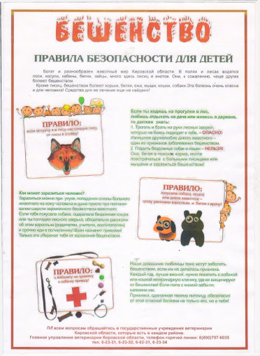 Бешенство Бешенство.